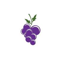 Modern Fruit Grape Logo Template vector