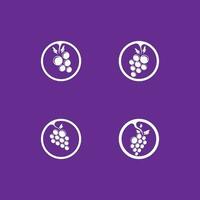 Modern Fruit Grape Logo Template vector