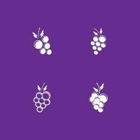 Modern Fruit Grape Logo Template vector