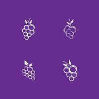 Modern Fruit Grape Logo Template vector