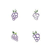 Modern Fruit Grape Logo Template vector