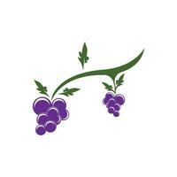 Modern Fruit Grape Logo Template vector