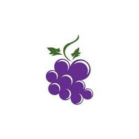 Modern Fruit Grape Logo Template vector