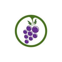 Modern Fruit Grape Logo Template vector