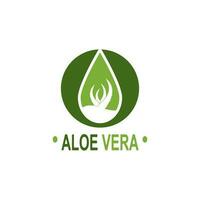 Aloe vera logo illustration template design vector