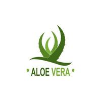 Aloe vera logo illustration template design vector