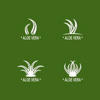 áloe vera logo ilustración modelo diseño vector