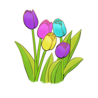 Tulips Flower art png