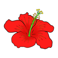 hibisco flor Arte png