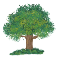 Nature Tree Landscape png