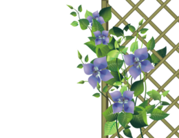 Pergola Garden PNG