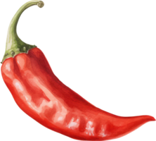 Red chilli watercolor illustration. AI Generated png