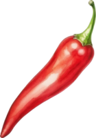 röd chili vattenfärg illustration. ai genererad png