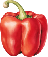 rojo campana pimienta acuarela ilustración. ai generado png