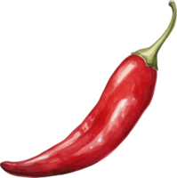 Red chilli watercolor illustration. AI Generated png