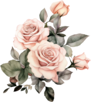 Rose flowers bouquet watercolor. AI Generated png