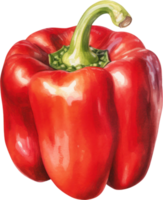 Red bell pepper watercolor illustration. AI Generated png