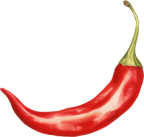 rojo chile acuarela ilustración. ai generado png