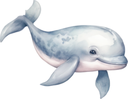 Cute Whale Watercolor Illustration. AI Generated png