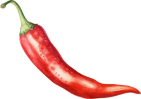 Red chilli watercolor illustration. AI Generated png