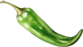 Green chilli watercolor illustration. AI Generated png