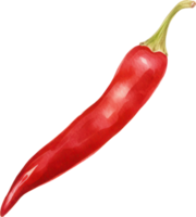 Red chilli watercolor illustration. AI Generated png