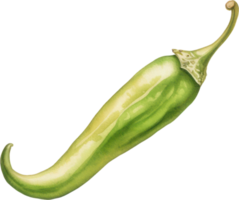 Green chilli watercolor illustration. AI Generated png