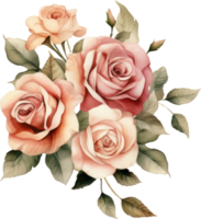 Rose flowers bouquet watercolor. AI Generated png