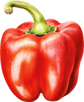 Red bell pepper watercolor illustration. AI Generated png