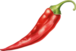 Red chilli watercolor illustration. AI Generated png