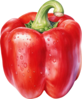 Red bell pepper watercolor illustration. AI Generated png