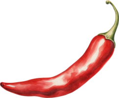 Red chilli watercolor illustration. AI Generated png