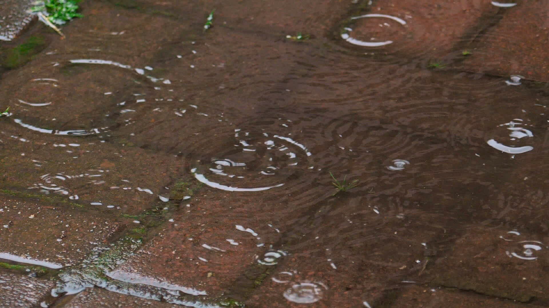 Falling raindrops into puddle, slow motion 25277700 Stock Video at Vecteezy