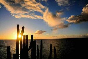 Sunset over the ocean photo