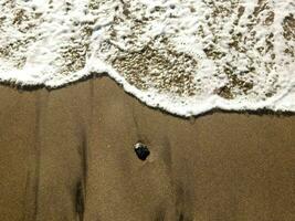 mar arena de cerca foto