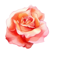 Rose Aquarell Elemente. Rosa Blume Knospen. Blumen- romantisch Hochzeit Dekor png