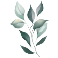 eucalyptus bladeren waterverf hand- getrokken wit achtergrond png