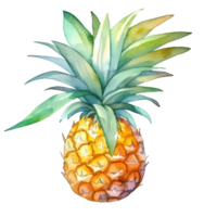 pineapple watercolor illustration png