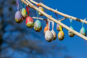 Easter eggs hanging on a branch photo