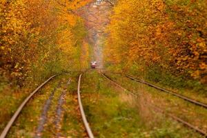 autumn forest among which goes a strange tram photo