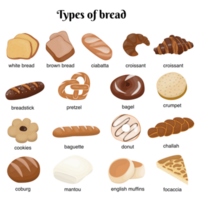 Types of bread illustration png