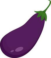 Vector illustration of brinjal in flat style.