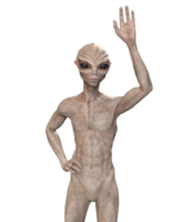 gris extraterrestre sur transparent arrière-plan, 3d rendre png