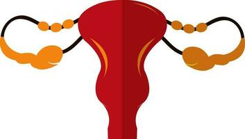 Red and orange uterus. vector