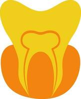Orange and yellow tooth. vector