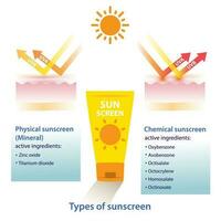 Types of sunscreen vector on white background. Comparison of physical, mineral sunscreen ingredients and chemical sunscreen ingredients vector on white background.