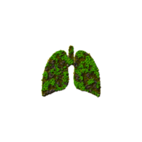 Green Heart without background 3d Illustration AI Generated png