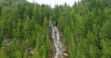aéreo ver de hermosa cascada nupcial velo, británico Columbia, Canadá. video