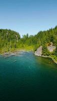 Vertical video. Aerial landscape of hidden lake in the forest in sunny day video