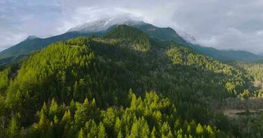 aéreo ver de canadiense montaña paisaje cerca el Harrison lago a puesta de sol video